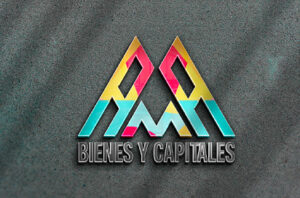 bienes-y-capitales